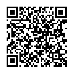 比如那一日明知苏凡拖延了他们的生机却毫无怨言的龙耀会成员二维码生成