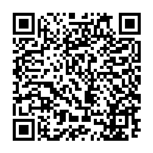比当年在楚京的时候更多了几分属于塞外的大气却又不失中原皇族的尊贵二维码生成