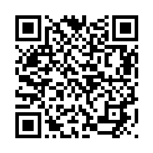 比起同样炼化六枚本命晶核的武者二维码生成