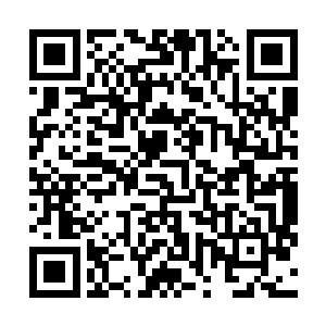 比那刚拜入天脉宫成为外门弟子的左丘玉龙还要厉害一筹二维码生成
