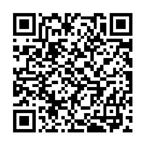 毕竟不是随便什么炼器师都可以炼制出行宫秘宝的二维码生成