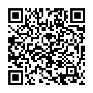毕竟之前他们无敌神队拍下的貌似是五百五十一张紫金卡二维码生成