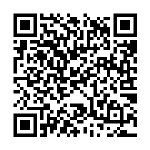 毕竟从这个禁制就可以看出这个人的实力绝对强悍二维码生成