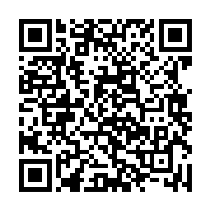 毕竟他可是吸纳了一个不同于一般化神期修士的存在二维码生成