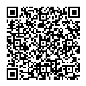 毕竟哪怕他利用世界之石对庇护所世界的掌控和感应也完全没能察觉到康斯坦丁的踪迹二维码生成