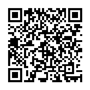 毕竟当初高瀛皇和文隽秀有意让文智孝和大皇子李德建亲近二维码生成