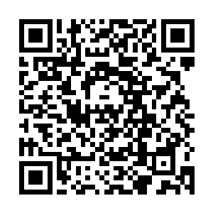 毕竟我打算用他们的招生业绩来计算明年各学院的预算二维码生成
