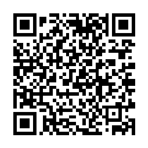 毕竟我的这位师姐在狐堡中睡了长大二十多年的时间二维码生成