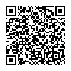 毕竟曾经在地球的时候也时常听说大海之中有什么自远古时代的巨兽二维码生成