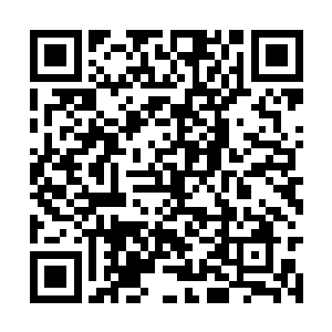 毕竟海师兄和李瑞中他们当时也不过是他们的程度二维码生成