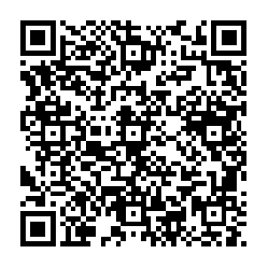 毕竟现在世界上流传最多的圣者都是当年炎氏一族以及一些附属的族群流传下来的血脉二维码生成