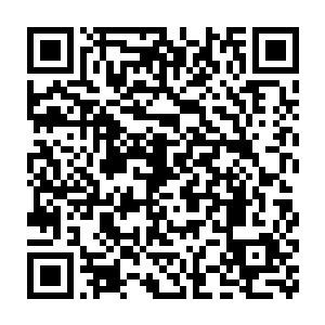 毕竟现在楚旬手上只剩下了变异螳螂王基因以及变异蝗虫王的基因二维码生成