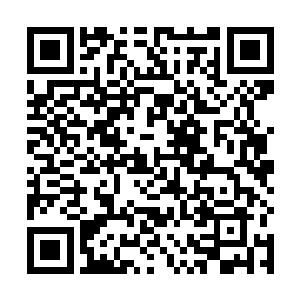 毕竟秦方与这条熔火灵脉可以说是完全无法相融的两方二维码生成