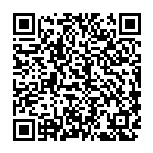 毕竟秦方这也算是为他儿子武剑报仇的……秦方倒是没有着急离开二维码生成