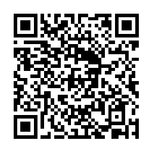 毕竟维持四百万大军所需的后勤保障是一项艰巨的任务二维码生成