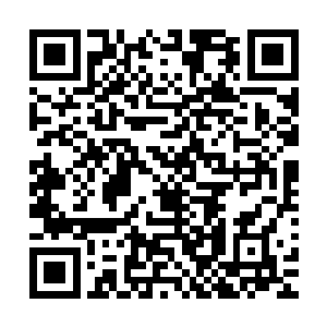 毕竟要是精灵公主在人类社会出事的话恐怕双方都会不好收场二维码生成