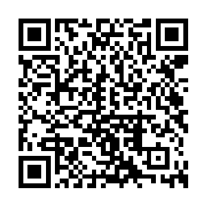 毕竟这个年轻人从头到尾的表现众人都看在眼里二维码生成