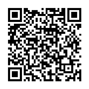 毕竟这座城市最不缺乏的就是各种各样的奇闻怪谈二维码生成