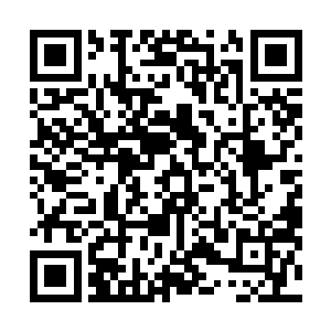 毫不留情的匕首让他只能以比伸出去更快的速度将手收回二维码生成
