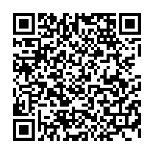 汇集在阵法附近的所有仙尊皆是目瞪口呆的望着这凭空出现的数万名仙人二维码生成
