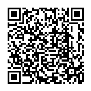 江帆决定先收服两个最好对付的大域主然后再去啃悬浮区和悬沙区的两位大域主二维码生成