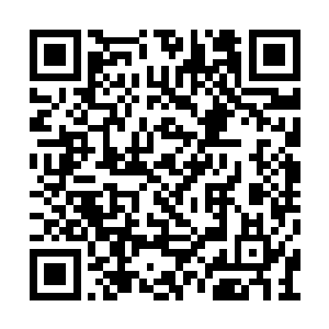 江帆看到屋里坐着一位年龄大约二十左右的女子二维码生成