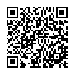 池佳一优哉游哉的看着眼前被自己雷的外焦里嫩的爷孙二人二维码生成