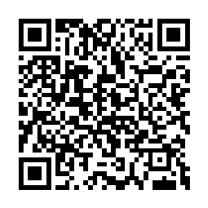 池佳一决定自己也在岛上的竹林之中建一些竹楼二维码生成