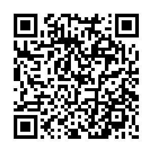 沈凡如同一个没事人站在宛若木偶般的屠夫面前二维码生成