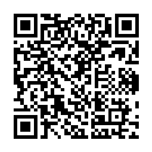 沈凡怎么也没有想到自己的噬灵虫已经强大刀这种地步了二维码生成
