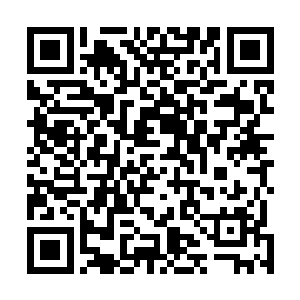 沈君怀从唐啸那里就知道陆为民没事儿经常和他探讨案件二维码生成