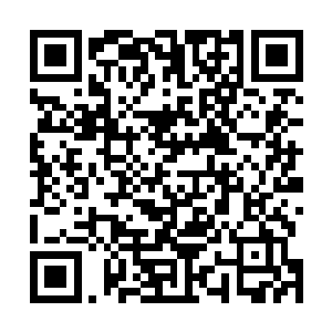 沈婉瑜抬起正好和皇上投射过来无可奈何的目光撞到一起二维码生成