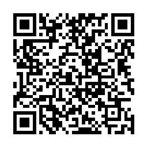 沈子烈再给陈昌俊打了电话确认了尚权智短时间内无法到丑二维码生成