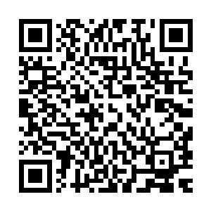 沈家找来的那嬷嬷验过之后现出的古怪表情又在她脑中浮现出来二维码生成