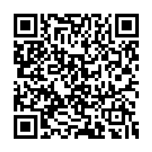 沉浸在修炼中的杨晨似乎忘记了外界的一切事情二维码生成