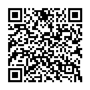 沉浸在自我满足的幻想和毫无意义的廉价享乐上二维码生成