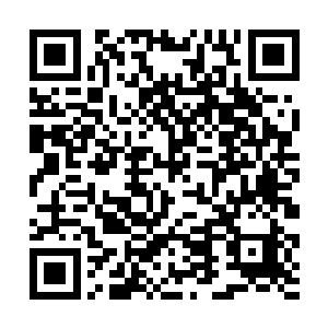 沉默了十个小时的廷尉大人一直到这个时候才开了口二维码生成