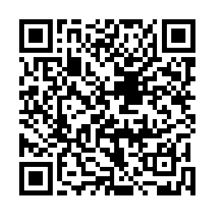 沙发发出的咯吱咯吱的声音估计都已经传到了隔壁厨房里二维码生成