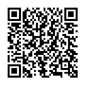 沙洲第三产业比例提高是建立在第二产业发展无力的基础之上的二维码生成