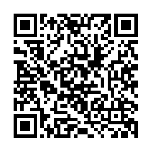 没了事可做的格鲁乌偷了些车大摇大摆的开到了机场二维码生成