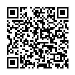 没入了漂浮在玄鸦子头顶上方的十八地狱冥珠内二维码生成
