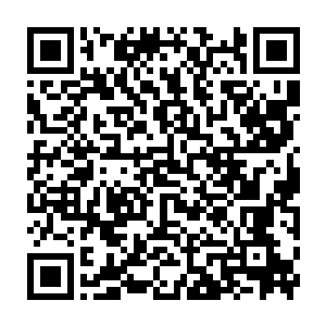 没多会儿众人就只能看到浮在黑色之上的银色地毯中已经彻底没了那些鼬的身影二维码生成