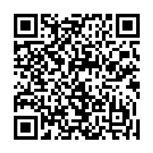 没实权又没圣宠的皇子他个正一品的丞相还真没放在眼里二维码生成