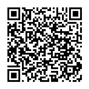 没想到一个古神顶峰的上古异种紫金天蜈竟然在你们手中连三个回合都撑不住二维码生成