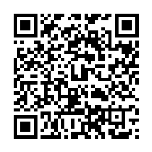 没想到两位初来海澜岛但对这些菜品点的很是周到啊二维码生成