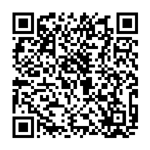 没想到伍迪在几乎没动用什么资源的前提下迅速完成了回收工作……这一功劳二维码生成