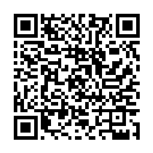 没想到在这里碰到自己的堂哥准备用刀子对付林凡二维码生成