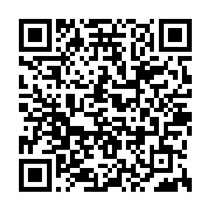 没想到就在胜利地天平即将要倾向自军的那一刻二维码生成