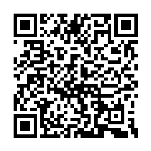 没想到看似没什么用的水行宫竟然跑了条狼出来二维码生成