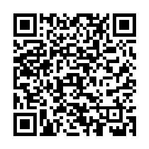 没想到碧落宗竟然出现了这么严重的一次叛徒事件二维码生成